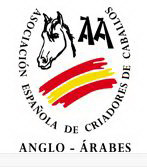 Asociación Española de Criadores de Caballos Anglo-Árabes