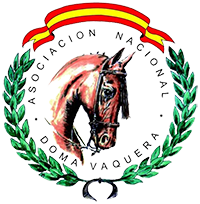 logo andv
